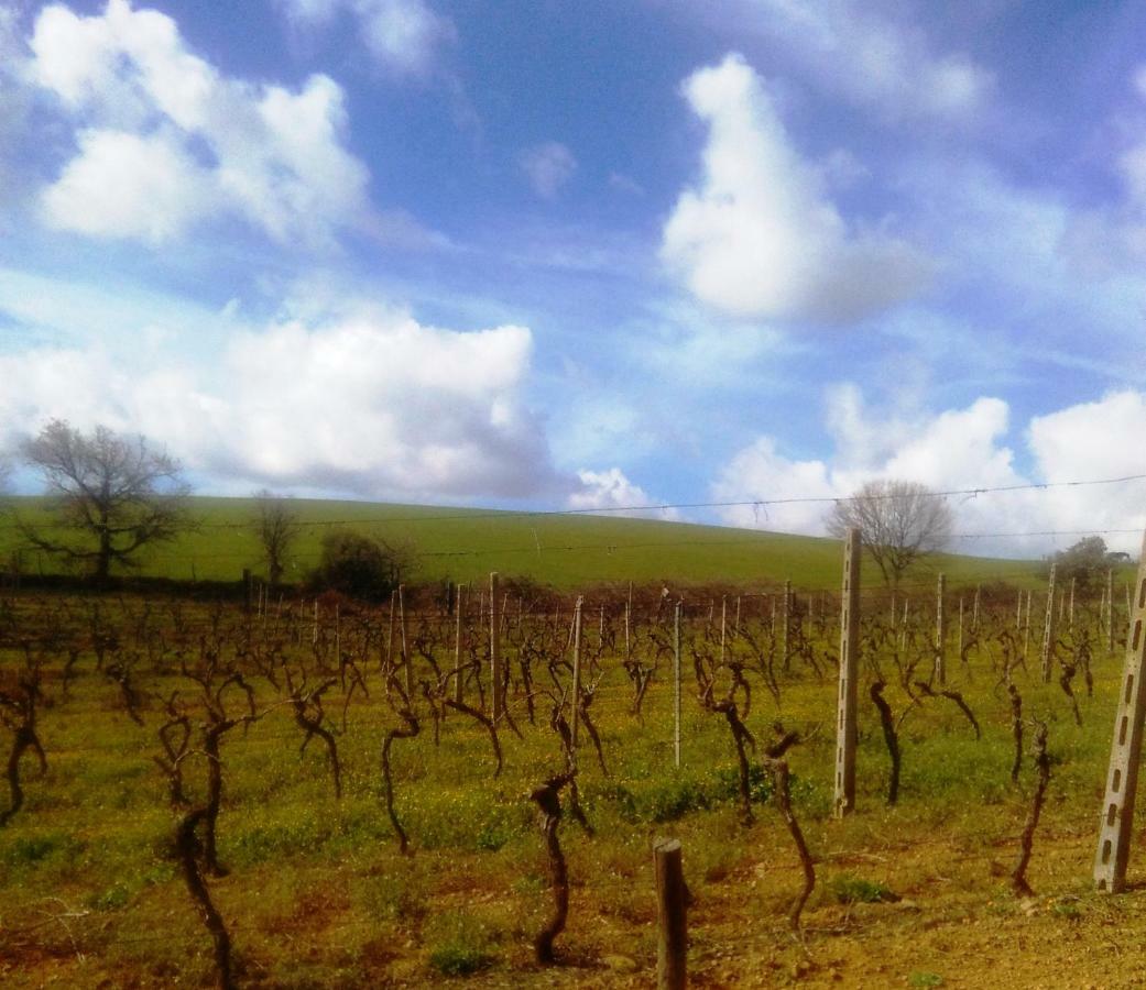 Agriturismo Il Cantiniere Гроссето Экстерьер фото