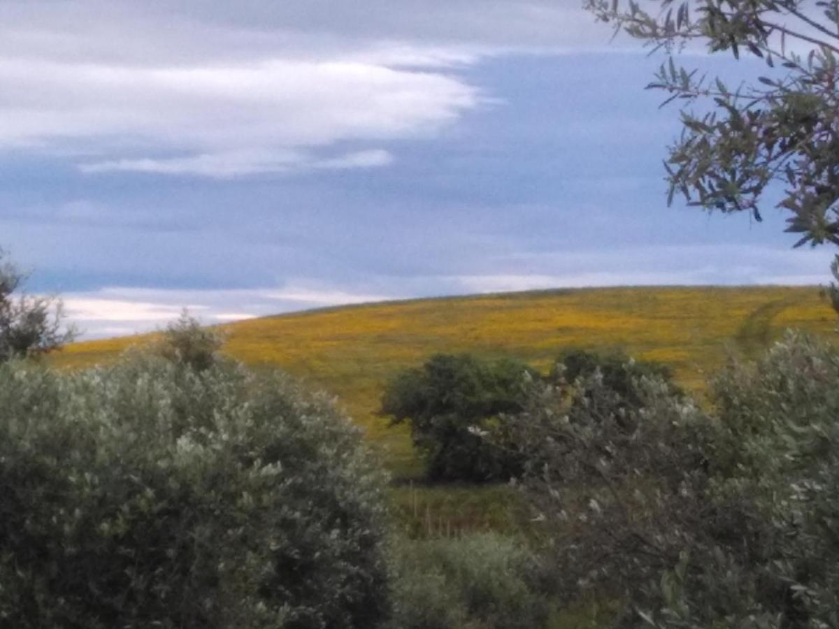 Agriturismo Il Cantiniere Гроссето Экстерьер фото
